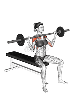 Barbell Seated Overhead Press demonstration
