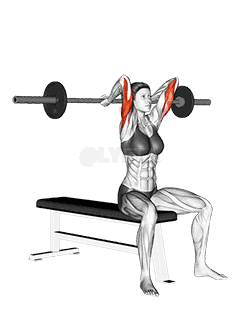 Barbell Seated Overhead Triceps Extension demonstration