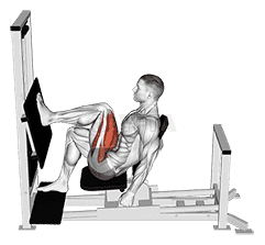 Lever Horizontal One leg Press demonstration