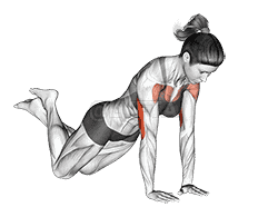 Close-grip Push-up demonstration