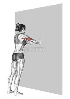 Push-up demonstration