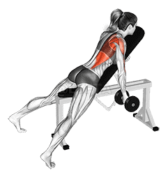 Dumbbell Reverse Grip Incline Bench One Arm Row demonstration