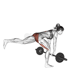 Barbell Single Leg Deadlift demonstration