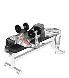 Dumbbell Close Grip Press demonstration