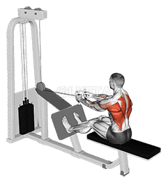 Cable Seated Row with V bar demonstration
