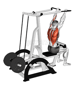 Lever High Row demonstration
