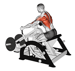 Lever Seated Row demonstration