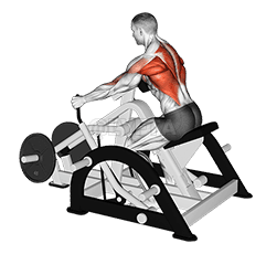 Lever Seated Row demonstration