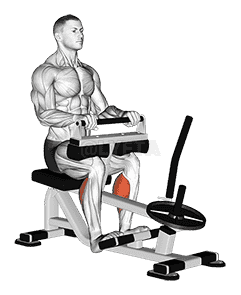 Lever Seated Calf Raise demonstration