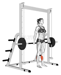 Smith Reverse Calf Raises demonstration