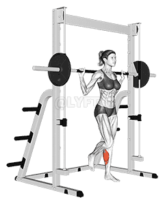 Smith One Leg Floor Calf Raise demonstration
