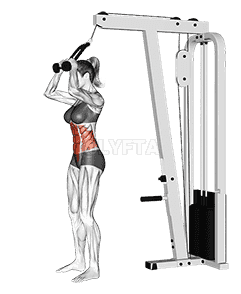 Cable Standing Crunch demonstration