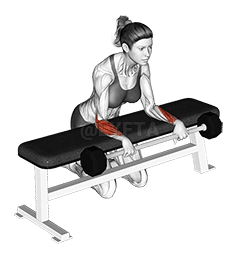 Barbell Palms Down Wrist Curl Over A Bench demonstration