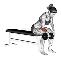 Dumbbell One arm Revers Wrist Curl demonstration