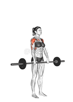 Barbell Standing Front Raise Over Head demonstration