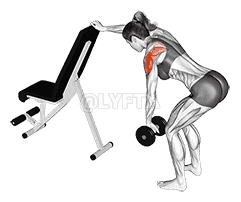 Dumbbell One Arm Reverse Fly demonstration