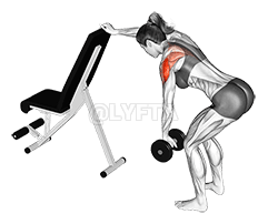 Dumbbell One Arm Reverse Fly demonstration