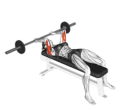 Barbell Lying Triceps Extension demonstration