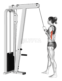 Cable Standing One Arm Triceps Extension demonstration