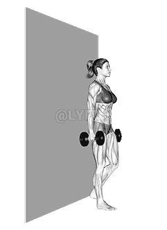 Dumbbell Single Leg Deadlift with Wall Support demonstration