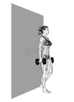 Dumbbell Single Leg Deadlift with Wall Support demonstration