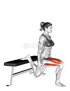 Split Squat demonstration
