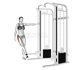 Cable Hip Abduction demonstration