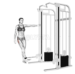 Cable Hip Abduction demonstration