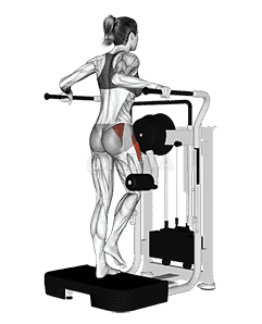 Lever Side Hip Abduction demonstration
