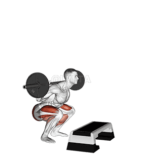 Barbell Squat Jump Step Rear Lunge demonstration