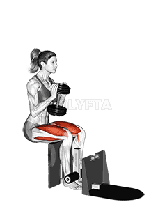 Dumbbell Supported Squat demonstration
