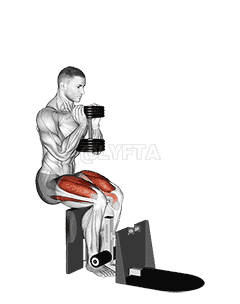 Dumbbell Supported Squat demonstration