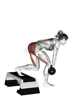 Dumbbell Single Leg Deadlift with Stepbox Support demonstration