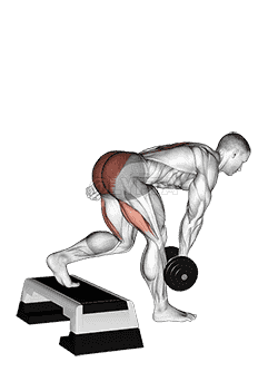 Dumbbell Single Leg Deadlift with Stepbox Support demonstration
