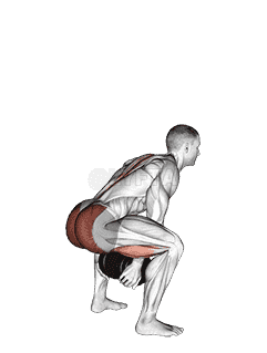 Dumbbell Sumo Pull Through demonstration