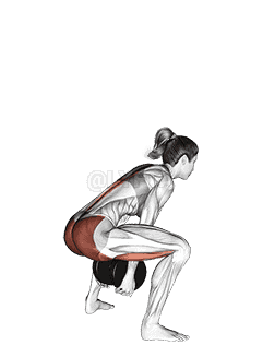 Dumbbell Sumo Pull Through demonstration