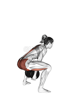 Dumbbell Sumo Pull Through demonstration