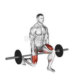 Barbell Split Squat demonstration