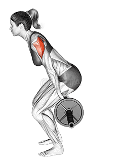 Barbell Skier demonstration