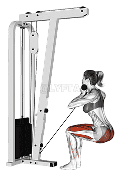 Cable Narrow Chair Stand Up demonstration