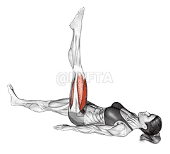 Lying Single Leg Circle demonstration