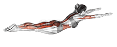 Swimming demonstration