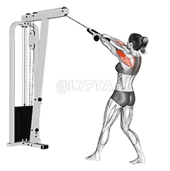 Cable Standing Rear Delt Row demonstration