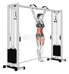 Cable Hanging Leg Raise demonstration