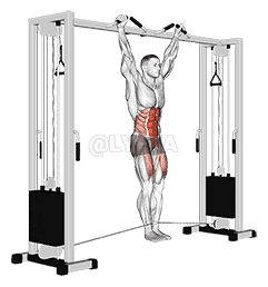 Cable Hanging Leg Raise demonstration