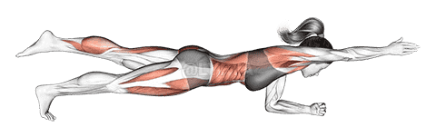 Front Plank with Arm and Leg Lift demonstration