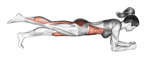 Front Plank with Leg Lift demonstration