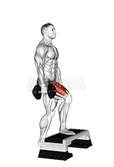 Dumbbell Single Leg Step Up demonstration