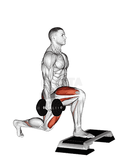 Dumbbell Split Squat Front Foot Elevanted demonstration