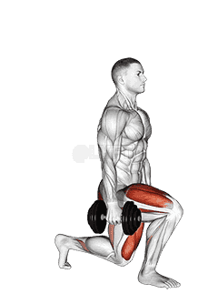 Dumbbell Split Squat demonstration